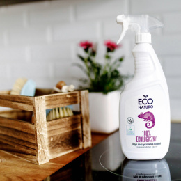 Ecological kitchen cleaner