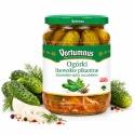 Ogórki Lisowskie PIKANTNE 660g / Vortumnus